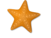 Captcha image 8833