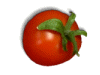 Captcha image 4397