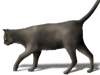 Captcha image 4303