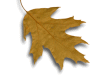 Captcha image 6134