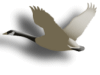 Captcha image 4401
