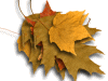 Captcha image 6884
