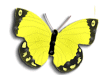 Captcha image 3276